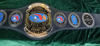 New Florida Heavyweight Wrestling Champion Title Belt - 2 | Dash Racegear