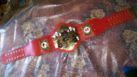 New Legion of Doom Wrestling Championship Inspired Title Belt - 3 | Dash Racegear