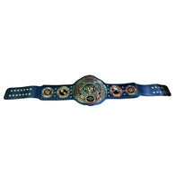 ROH Heavyweight Championship Inspired Title Belt - 2 | Dash Racegear