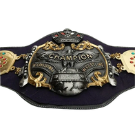Old NWA International Heavyweight Wrestling Champion Belt - 2 | Dash Racegear