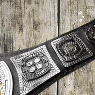 Pittsburgh Steelers Fan Wrestling Championship Title Belt - 3 | Dash Racegear