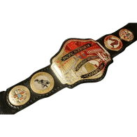 Portland Wrestling Uncut Pacific Northwest Title championship belt - 2 | Dash Racegear
