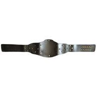 ROH World Tag Team Championship Inspired Title Belt - 3 | Dash Racegear