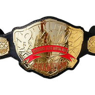 Renaissance Mixed Martial Arts Championship Belt - 1 | Dash Racegear
