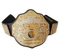 Big Gold World Die Cast Dual Plated Heavyweight Championship Belt - 4 | Dash Racegear