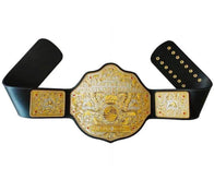 Big Gold World Die Cast Dual Plated Heavyweight Championship Belt - 5 | Dash Racegear