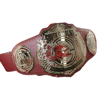 South Carolina Gamecocks Basketball Challenge Belt - 1 | Dash Racegear
