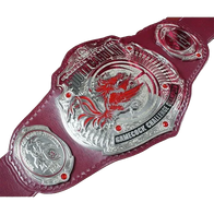 South Carolina Gamecocks Basketball Challenge Belt - 2 | Dash Racegear