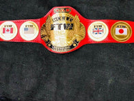 TAZ FTW World Wrestling Championship Inspired Belt 2mm brass adult size - 5 | Dash Racegear