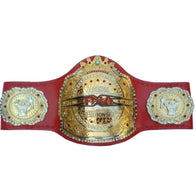 TNA Legends Championship Inspired Title Belt - 1 | Dash Racegear