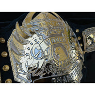 TNA World Heavyweight Championship Inspired Title Belt - 3 | Dash Racegear
