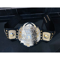 TNA World Heavyweight Championship Inspired Title Belt - 2 | Dash Racegear
