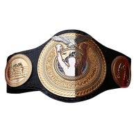 WC Heavyweight Boxing Title Championship belt - 1 | Dash Racegear
