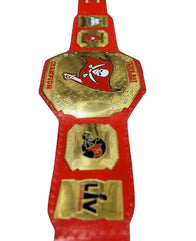 Tampa Bay Buccaneers NFL Championship Title Belt - 3 | Dash Racegear