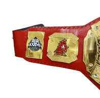 Tampa Bay Buccaneers NFL Championship Title Belt - 4 | Dash Racegear