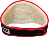 Title Boxing Platinum Championship Belt - 2 | Dash Racegear