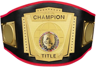 Force of One Title Boxing Championship Belt - 1 | Dash Racegear