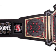WWE Triple H 30 Years The Authority WWE Championship Title Belt - 6 | Dash Racegear