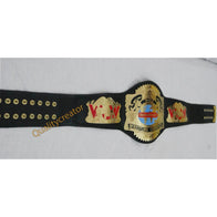 WCW Cruiserweight Championship Inspired Title Belt - 5 | Dash Racegear