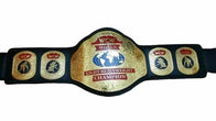 Wcw World Light Heavyweight Championship Title Belt - 2 | Dash Racegear