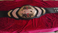 WWE NXT Women's Championship Real Leather Title Belt - 2 | Dash Racegear