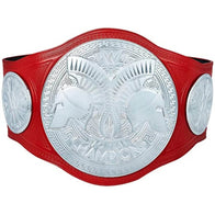 WWE RAW Tag Team Championship Inspired Title Belt - 1 | Dash Racegear