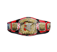 WWE CM Punk Spinner Championship Title Belt - 1 | Dash Racegear