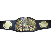 WWWF Junior Heavyweight Championship Inspired Belt - 2 | Dash Racegear