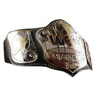 World Extreme Fighting Championship Belt - 1 | Dash Racegear