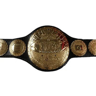 IWGP Yamaguchi Wrestling Grand Prix Tag Team Titles - 1 | Dash Racegear