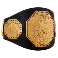 AAA Mega Champion Inspired Title Belt - 2 | Dash Racegear