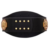 AAA Mega Champion Inspired Title Belt - 4 | Dash Racegear