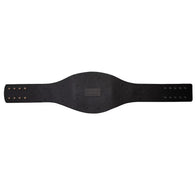 AAA Mega Champion Inspired Title Belt - 6 | Dash Racegear
