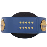 AAA World Mixed Tag Team Championship Title Belt - 4 | Dash Racegear