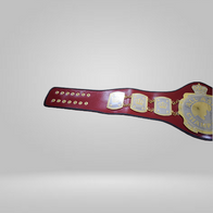 ALL Asia Wrestling Championship Belt - image 2 | DASH RACEGEAR