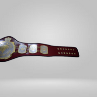 ALL Asia Wrestling Championship Belt - image 3 | DASH RACEGEAR