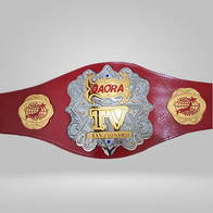 All Japan Pro Wrestling GAORA TV Title Champion Belt Seiya Dupree Sushi Shuji - image 1 | DASH RACEGEAR