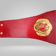 All Japan Pro Wrestling GAORA TV Title Champion Belt Seiya Dupree Sushi Shuji - image 2 | DASH RACEGEAR