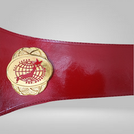 All Japan Pro Wrestling GAORA TV Title Champion Belt Seiya Dupree Sushi Shuji - image 3 | DASH RACEGEAR