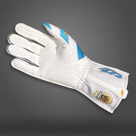 ARG - Glove | DASH RACEGEAR