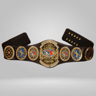 AWA FLORIDA HEAVYWEIGHT WRESTLING CHAMPIONSHIP BELT REPLICA - image 2 | DASH RACEGEAR