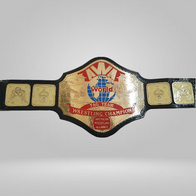 AWA WORLD HEAVYWEIGHT WRESTLING CHAMPIONSHIP BELT - image 1 | DASH RACEGEAR