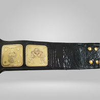 AWA WORLD HEAVYWEIGHT WRESTLING CHAMPIONSHIP BELT - image 3 | DASH RACEGEAR