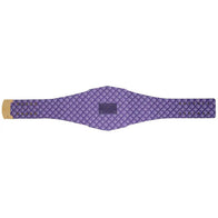 Baltimore Ravens WWE Legacy Title Belt - 6 | Dash Racegear