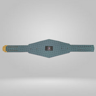 Boston Red Sox WWE Legacy Title Belt - image 5 | DASH RACEGEAR