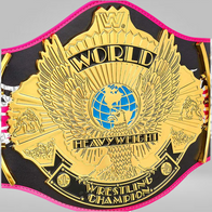Bret Hart “Signature Series” Championship Replica Title - image 2 | DASH RACEGEAR