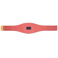 Chicago Bears WWE Legacy Title Belt - 5 | Dash Racegear