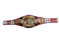 WWE CM Punk Spinner Championship Title Belt - 4 | Dash Racegear
