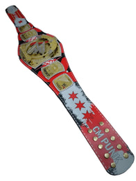 WWE CM Punk Spinner Championship Title Belt - 3 | Dash Racegear