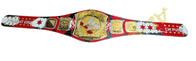 WWE CM Punk Spinner Wrestling Heavyweight Championship Title Belt - 3 | Dash Racegear